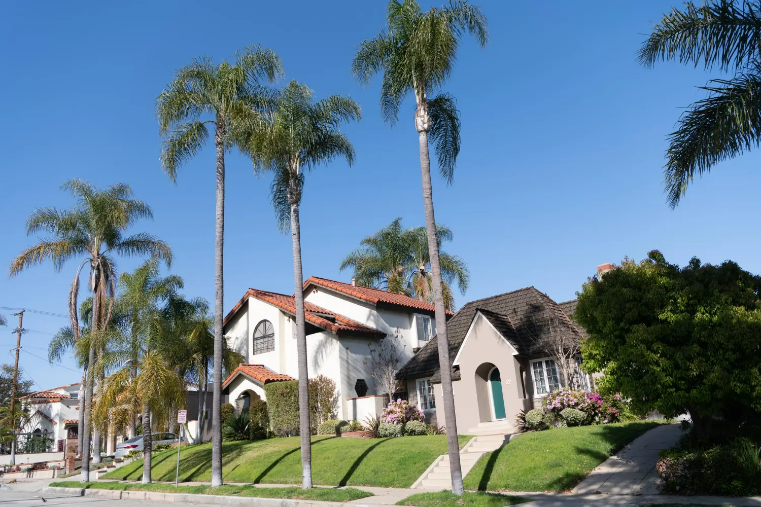 Residential properties with palm trees and landscaped yards in California, illustrating potential locations for quiet title actions and property ownership disputes.