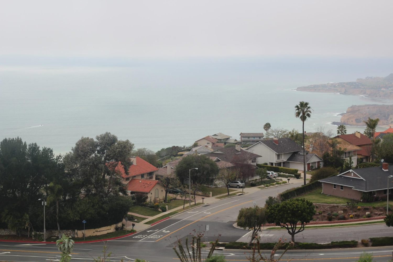 Coastal view of Carlsbad, California, showcasing residential homes, palm trees, and the Pacific Ocean, emphasizing the area's real estate market and community.